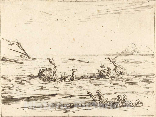 Art Print : Jacques Callot, Dolphins and Crocodile - Vintage Wall Art
