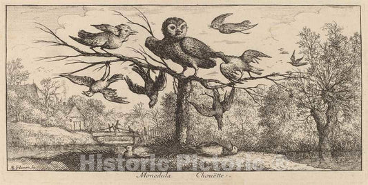 Art Print : Albert Flamen, Monedula, The Owl - Vintage Wall Art