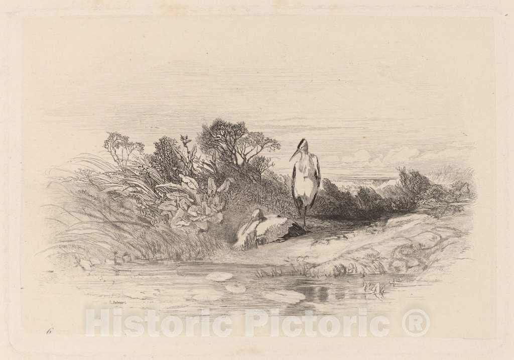 Art Print : Karl Bodmer, Les Deux Herons - Vintage Wall Art