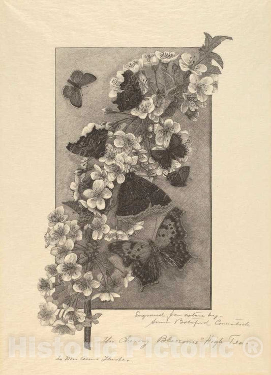 Art Print : Anna Botsford Comstock, The Cherry Blossoms - High Tea, c. 1890 - Vintage Wall Art