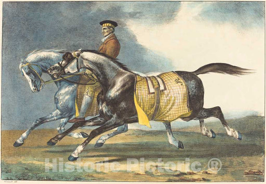 Art Print : Gericault and LÃ©on Cogniet, Two Dapple-Gray Horses Exercising (Deux Chevaux gris pommele que l'on promene), 1822 - Vintage Wall Art