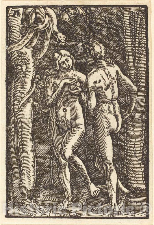 Art Print : Albrecht Altdorfer, The Fall of Man, c. 1513 - Vintage Wall Art
