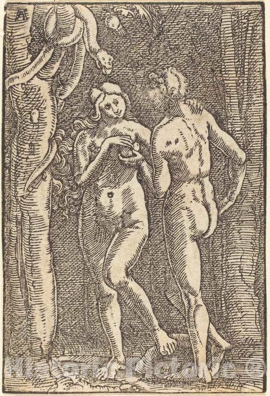Art Print : Albrecht Altdorfer, The Fall of Man, c. 1513 - Vintage Wall Art