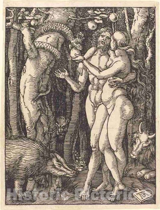Art Print : Albrecht DÃ¼rer, The Fall of Man, c.1510 - Vintage Wall Art