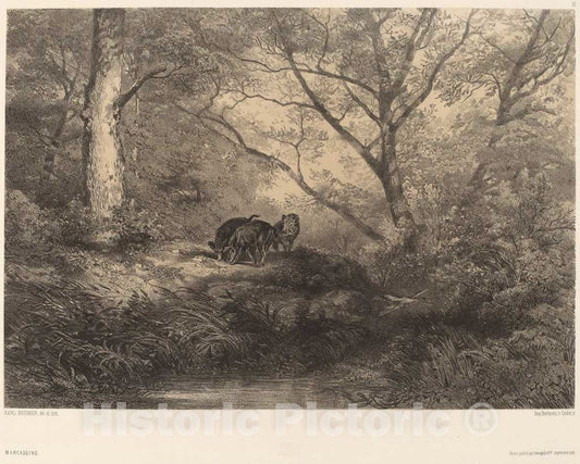 Art Print : Karl Bodmer, Marcassins - Vintage Wall Art