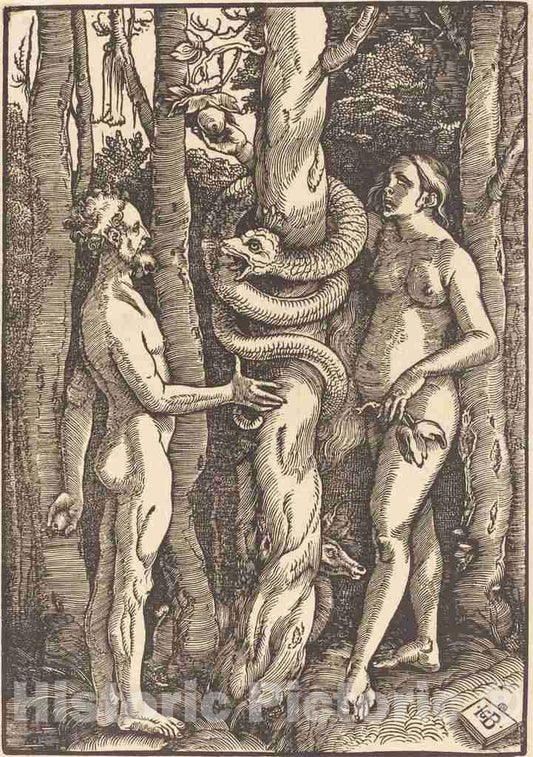 Art Print : Hans Baldung Grien, Adam and Eve with Serpent, 1514 - Vintage Wall Art