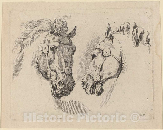 Art Print : Stefano Della Bella, Two Horse Heads, 1649 - Vintage Wall Art