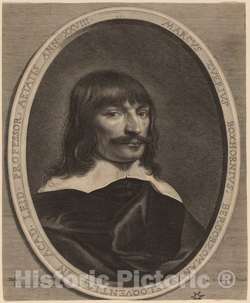 Dragable Image