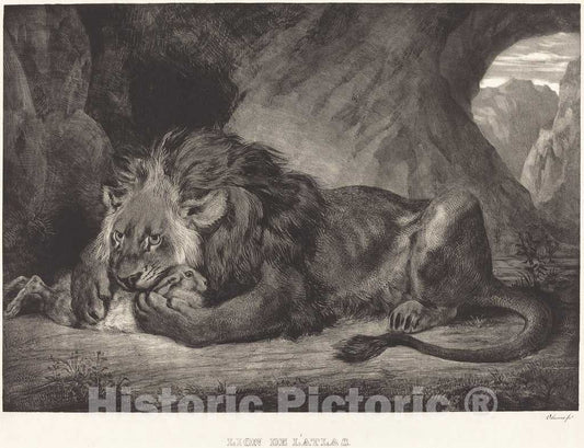 Art Print : EugÃ¨ne Delacroix, Lion of The Atlas Mountains (Lion de l'Atlas), 1829 - Vintage Wall Art