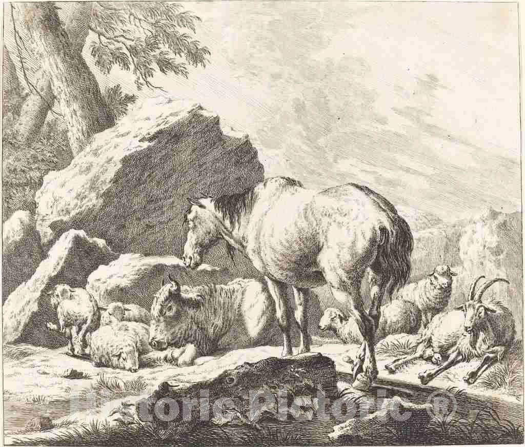 Art Print : Ridinger After Johann Roos, A Horse, Buffalo, Sheep, and Goat in an Italian Landscape - Vintage Wall Art