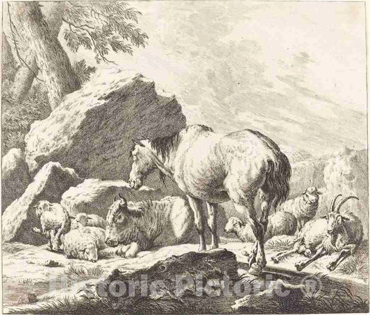 Art Print : Ridinger After Johann Roos, A Horse, Buffalo, Sheep, and Goat in an Italian Landscape - Vintage Wall Art