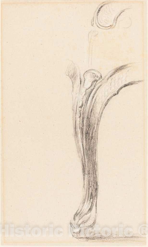 Art Print : Sir David Wilkie, Study of a Chair Leg - Vintage Wall Art