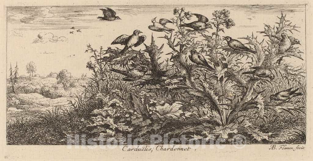 Art Print : Albert Flamen, Carduelis, The Goldfinch - Vintage Wall Art