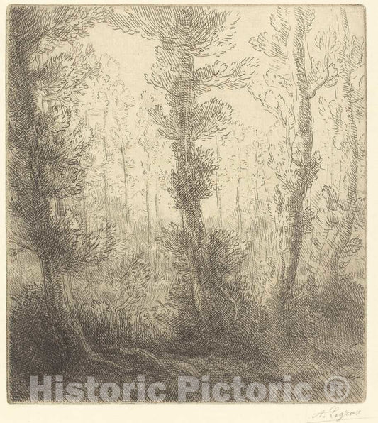Art Print : Alphonse Legros, Small Lake (Le Petit lac) - Vintage Wall Art