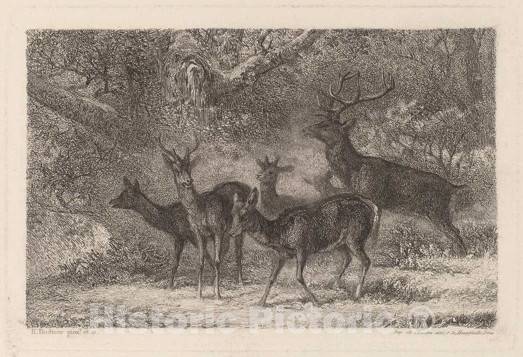 Art Print : Karl Bodmer, Le harde - Vintage Wall Art