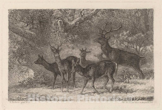 Art Print : Karl Bodmer, Le harde - Vintage Wall Art