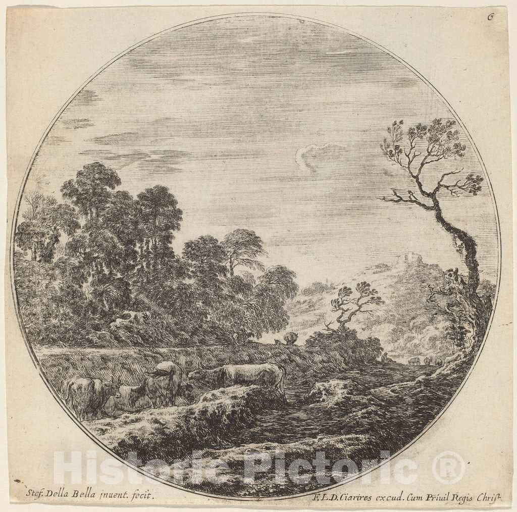 Art Print : Stefano Della Bella, Cows Grazing in a Valley, 1646 - Vintage Wall Art