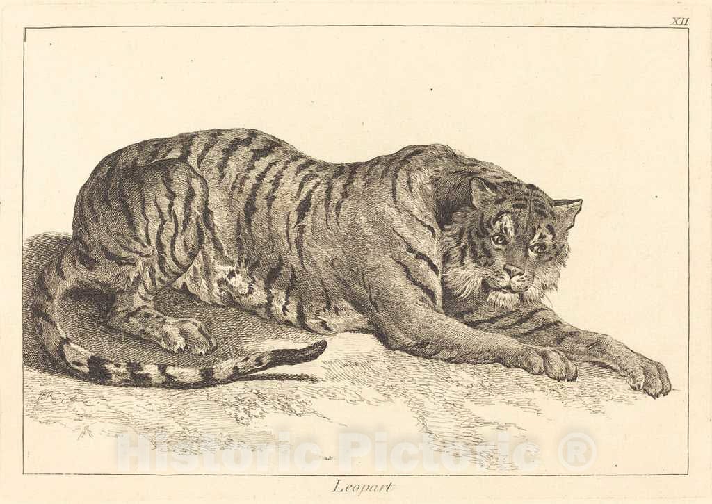 Art Print : Le Bas and Jean Eric Rehn After Oudry, Leopart (Leopard or Tiger) - Vintage Wall Art