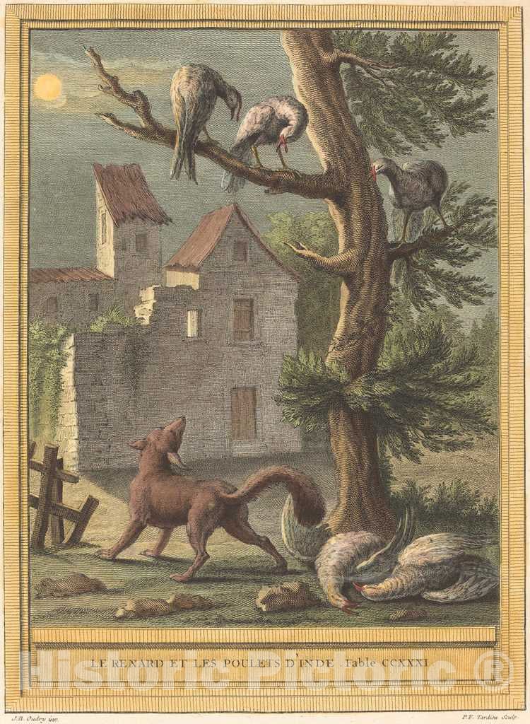 Art Print : Tardieu After Oudry, Le Renard et les poulets d'Inde (The Fox and The Hens from India), 1759 - Vintage Wall Art