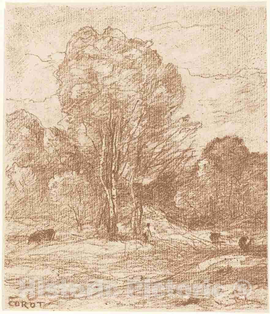 Art Print : Baptiste-Camille Corot, Drowsing Cattle (Le Dormoir des Vaches), 1871 - Vintage Wall Art