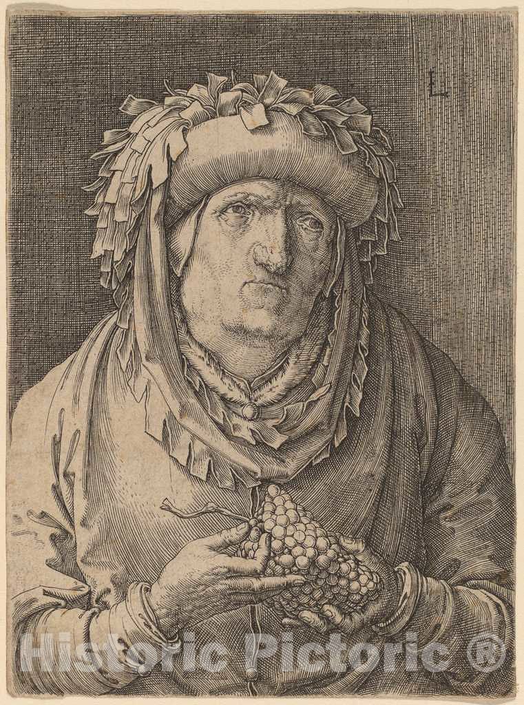 Art Print : Lucas Van Leyden, The Old Woman with Grapes, c. 1523 - Vintage Wall Art