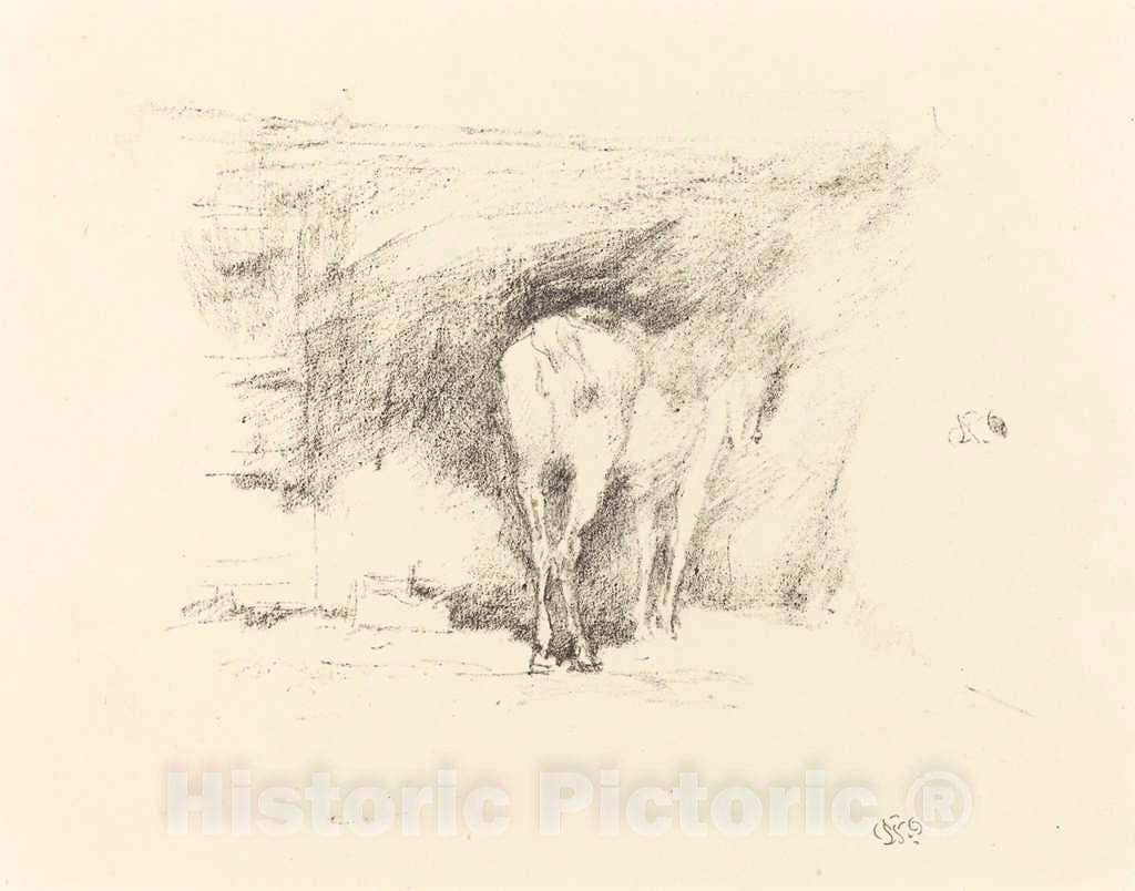 Art Print : James McNeill Whistler, Study of a Horse, 1895 - Vintage Wall Art