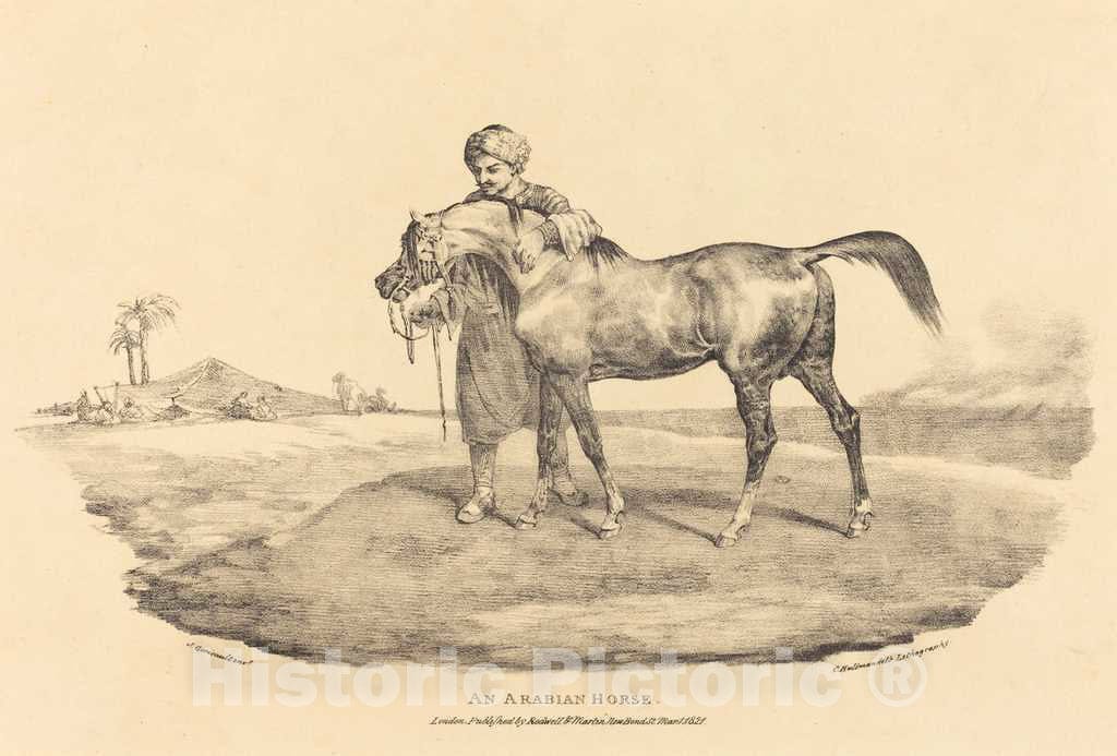 Art Print : ThÃ©odore Gericault, an Arabian Horse, 1821 - Vintage Wall Art