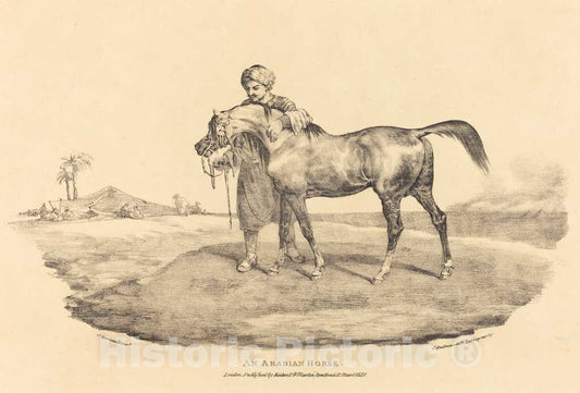 Art Print : ThÃ©odore Gericault, an Arabian Horse, 1821 - Vintage Wall Art