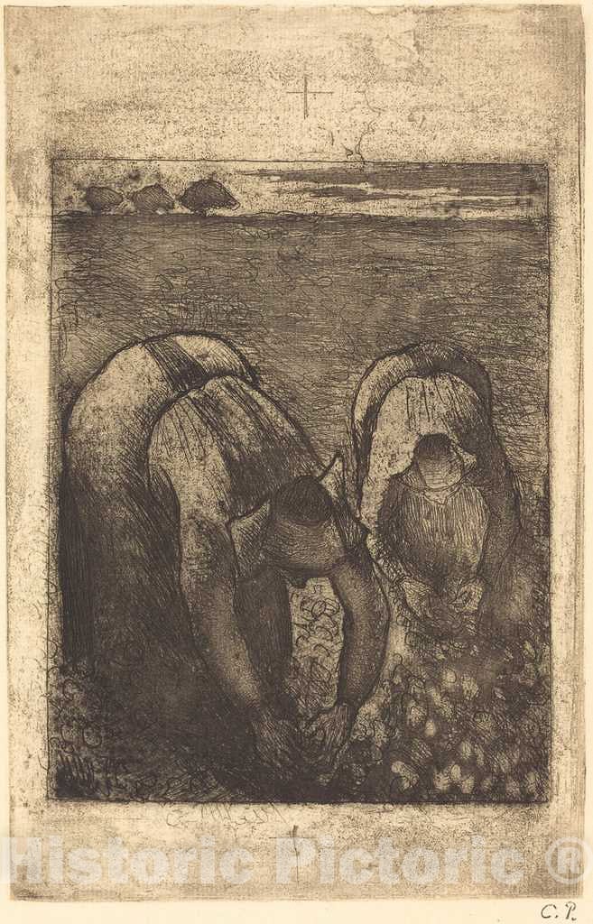 Art Print : Camille Pissarro, Peasants in a Field of Beans (Paysannes Dans un Champ de haricots), 1891 - Vintage Wall Art