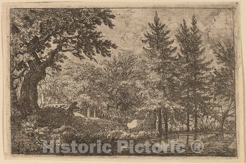 Art Print : Allart Van Everdingen, Fir Trees at The Water, c.1651 - Vintage Wall Art