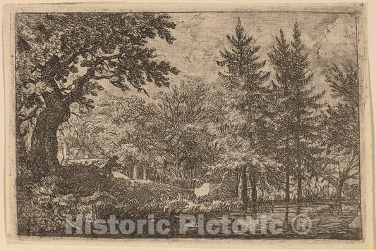 Art Print : Allart Van Everdingen, Fir Trees at The Water, c.1651 - Vintage Wall Art