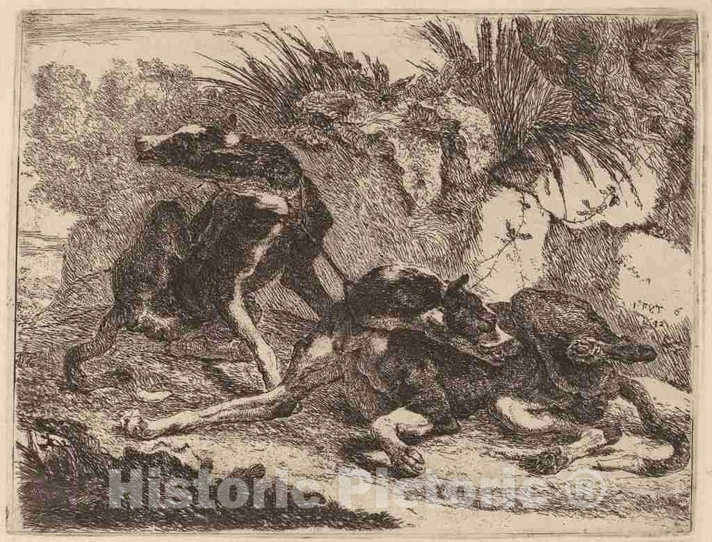 Art Print : Jan Fyt, Two Greyhounds, Leashed and Facing Opposite Directions, 1642 - Vintage Wall Art