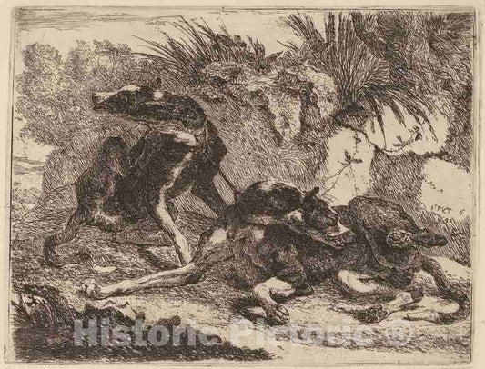 Art Print : Jan Fyt, Two Greyhounds, Leashed and Facing Opposite Directions, 1642 - Vintage Wall Art