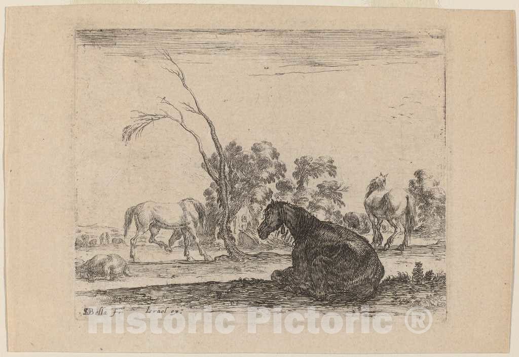 Art Print : Stefano Della Bella, Horses in a Pasture, 1642 - Vintage Wall Art