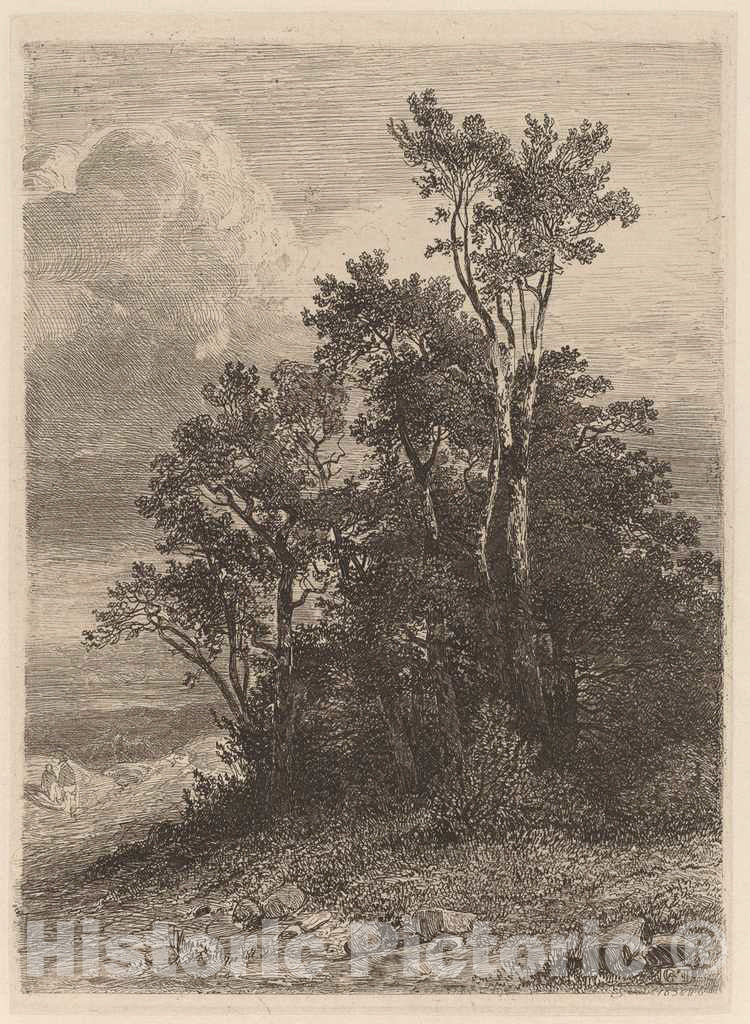 Art Print : Alexandre Calame, Grove of Trees, 1838 - Vintage Wall Art