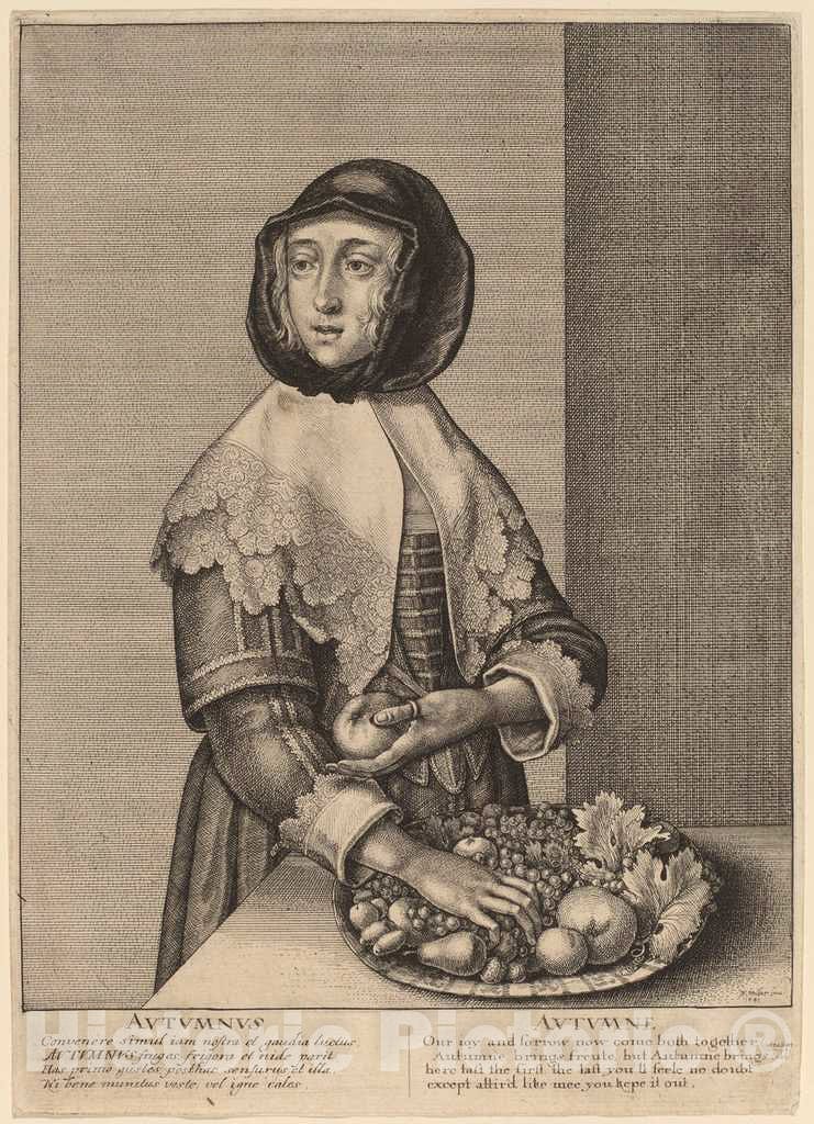 Art Print : Wenceslaus Hollar, Autumn, 1641 - Vintage Wall Art
