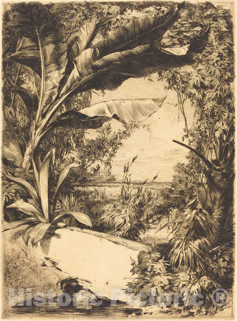 Art Print : Jules-Jacquemart, Plantes de Serre, 1863 - Vintage Wall Art