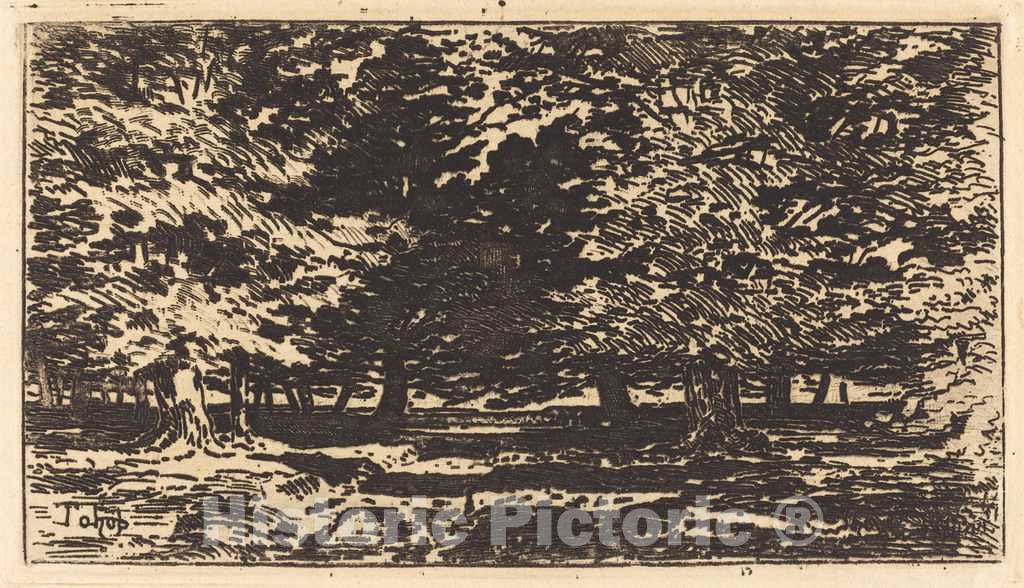 Art Print : FÃ©lix-Hilaire Buhot, ForÃªt - Vintage Wall Art