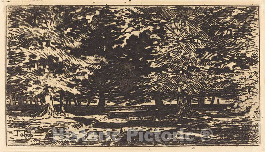 Art Print : FÃ©lix-Hilaire Buhot, ForÃªt - Vintage Wall Art
