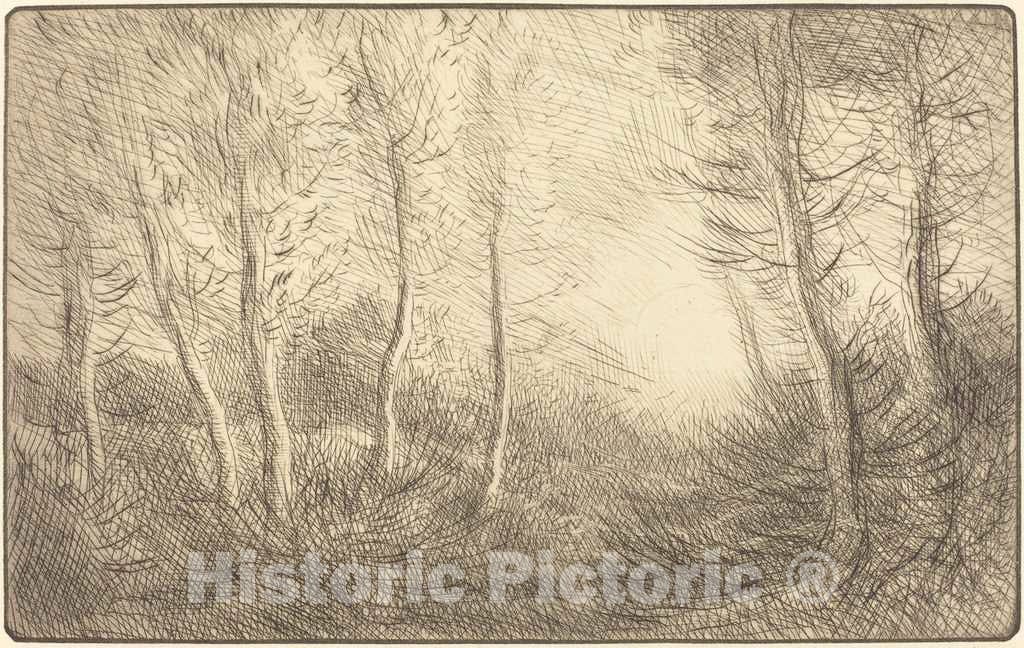 Art Print : Alphonse Legros, Sunrise, Woods of Clamard (Lever du Soleil, Bois de Clamard) - Vintage Wall Art