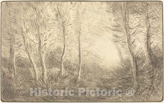 Art Print : Alphonse Legros, Sunrise, Woods of Clamard (Lever du Soleil, Bois de Clamard) - Vintage Wall Art