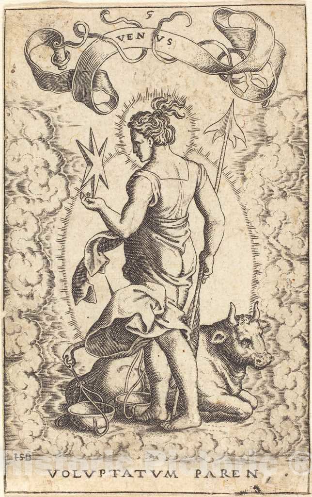 Art Print : Sebald Beham, Venus - Vintage Wall Art
