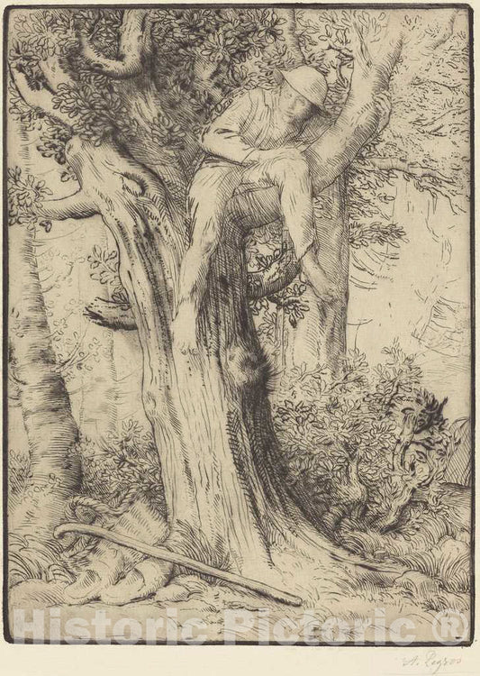 Art Print : Alphonse Legros, Landscape with a Boy in a Tree (Paysage avec un Garcon grimpe sur un arbre, dite Le denicheur d'oiseaux) - Vintage Wall Art