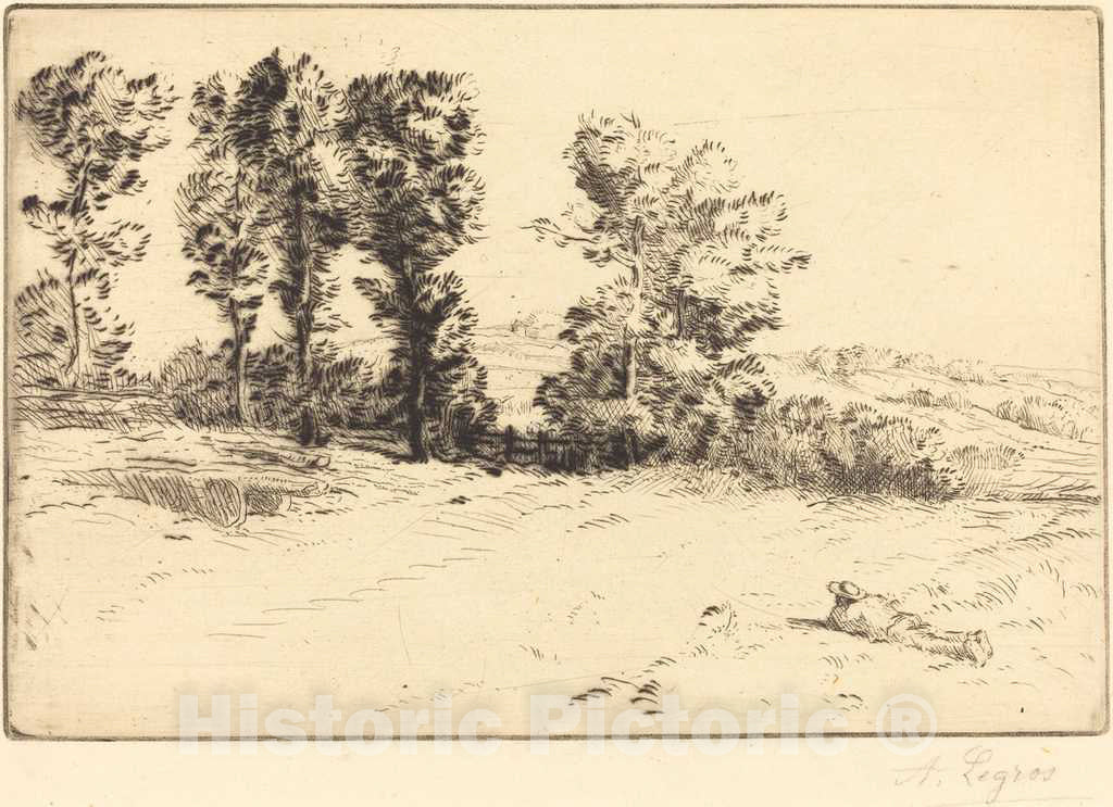 Art Print : Alphonse Legros, Meadow in Sunshine (Le pre ensoleille) - Vintage Wall Art