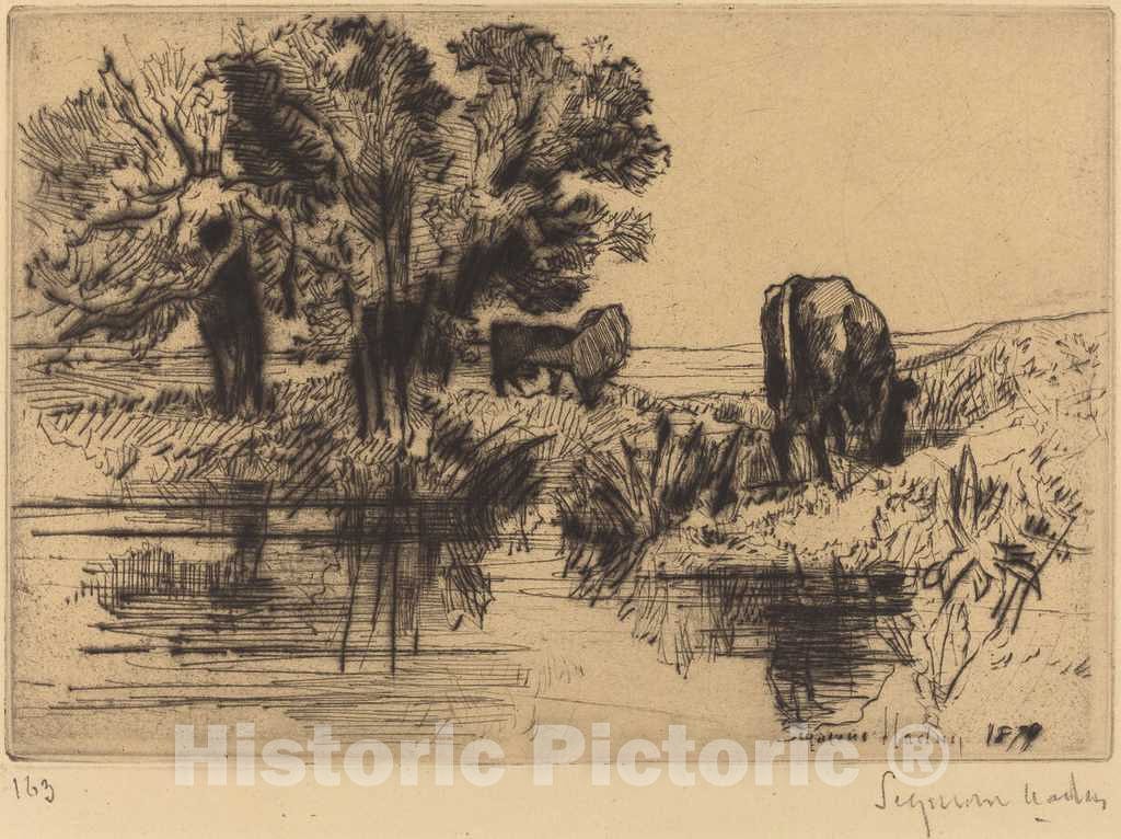 Art Print : Francis Seymour Haden, The Three Cows, 1877 - Vintage Wall Art