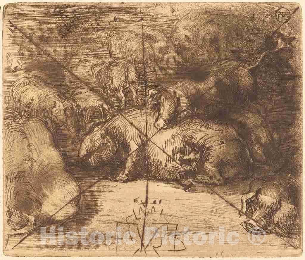 Art Print : FÃ©lix-Hilaire Buhot, Cochons au Soleil (Pigs in The Sun) - Vintage Wall Art