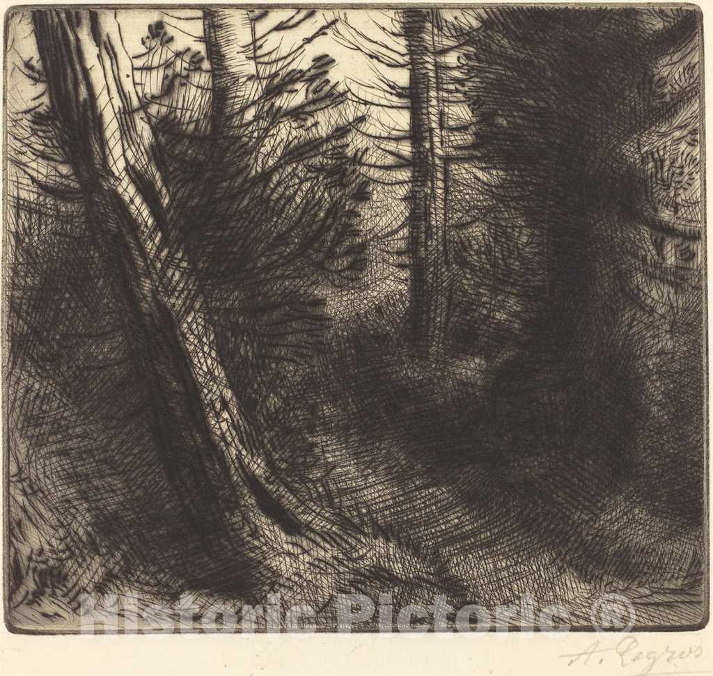 Art Print : Alphonse Legros, Path Through The Woods (Sentier Sous Bois) - Vintage Wall Art