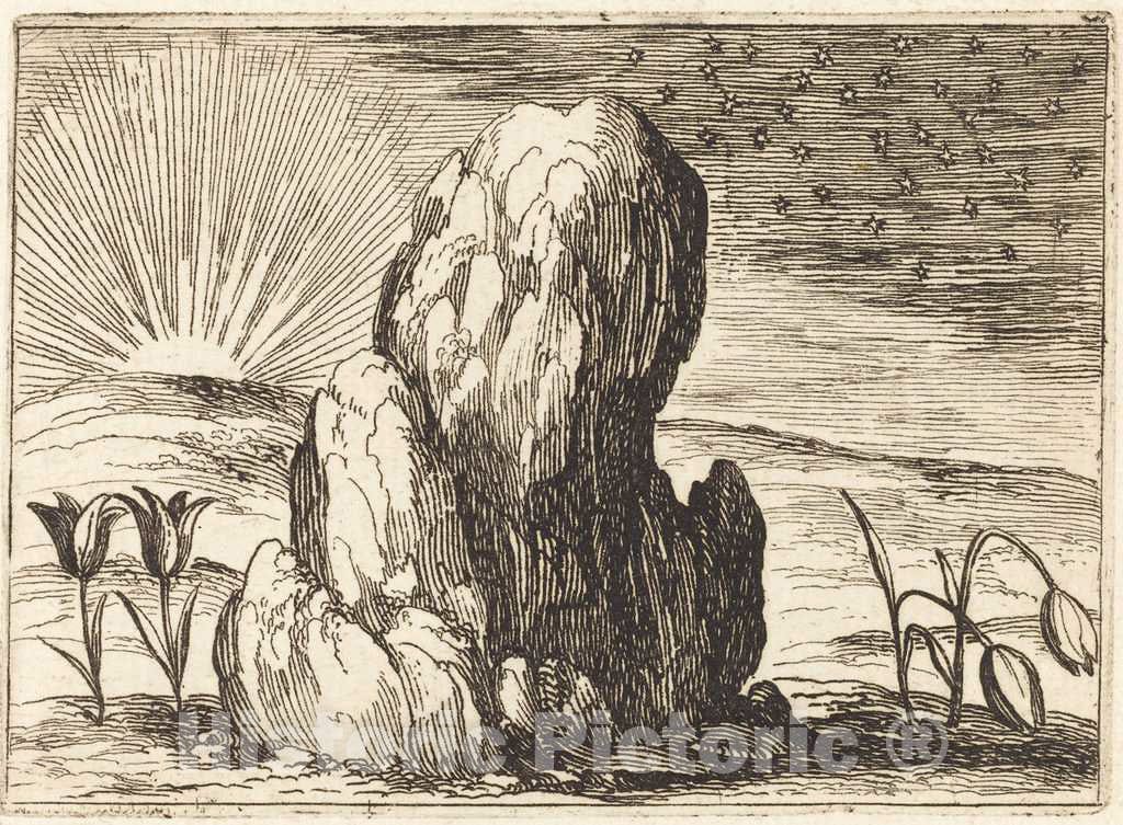 Art Print : Jacques Callot, The Tulips and The Sun, 1628 - Vintage Wall Art