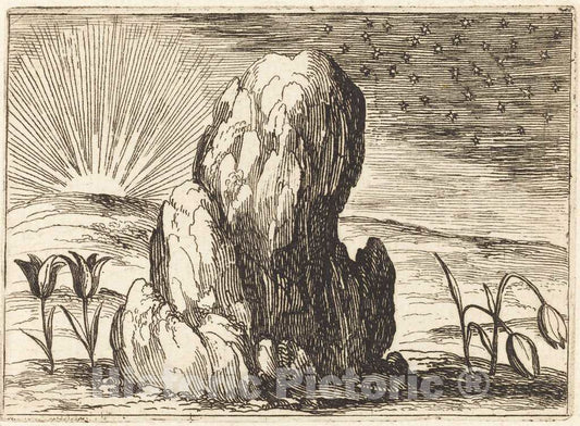 Art Print : Jacques Callot, The Tulips and The Sun, 1628 - Vintage Wall Art