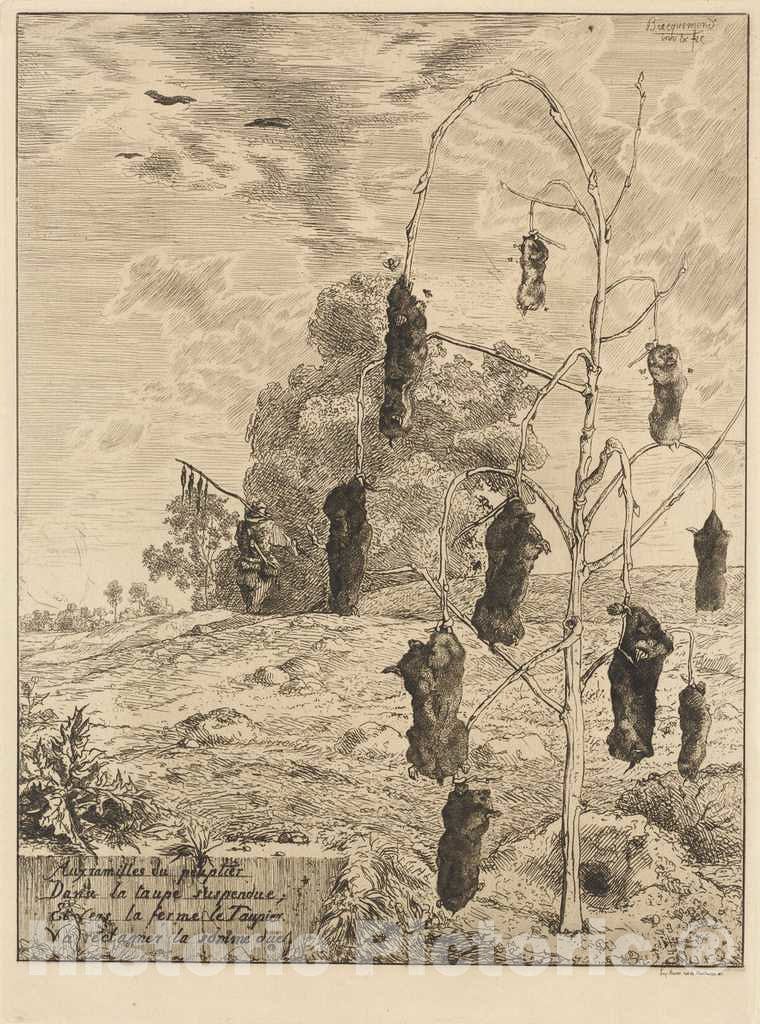 Art Print : FÃ©lix Bracquemond, The Moles (Les taupes), 1854 - Vintage Wall Art